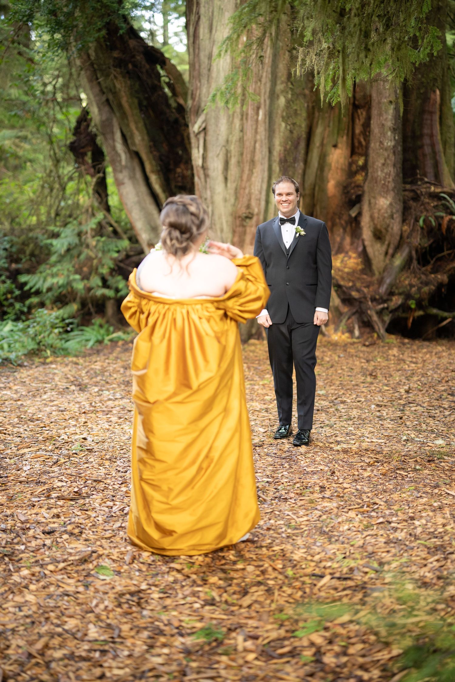 A flowing golden dress creates movement against a backdrop of ancient forest trees.