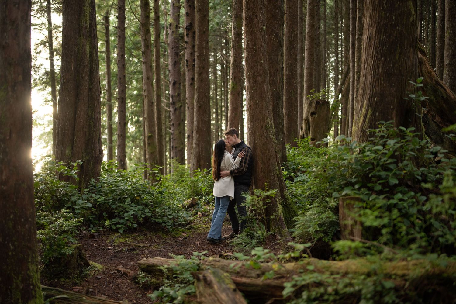 Wooded trail winding through towering evergreen trees in Pacific Northwest forest.