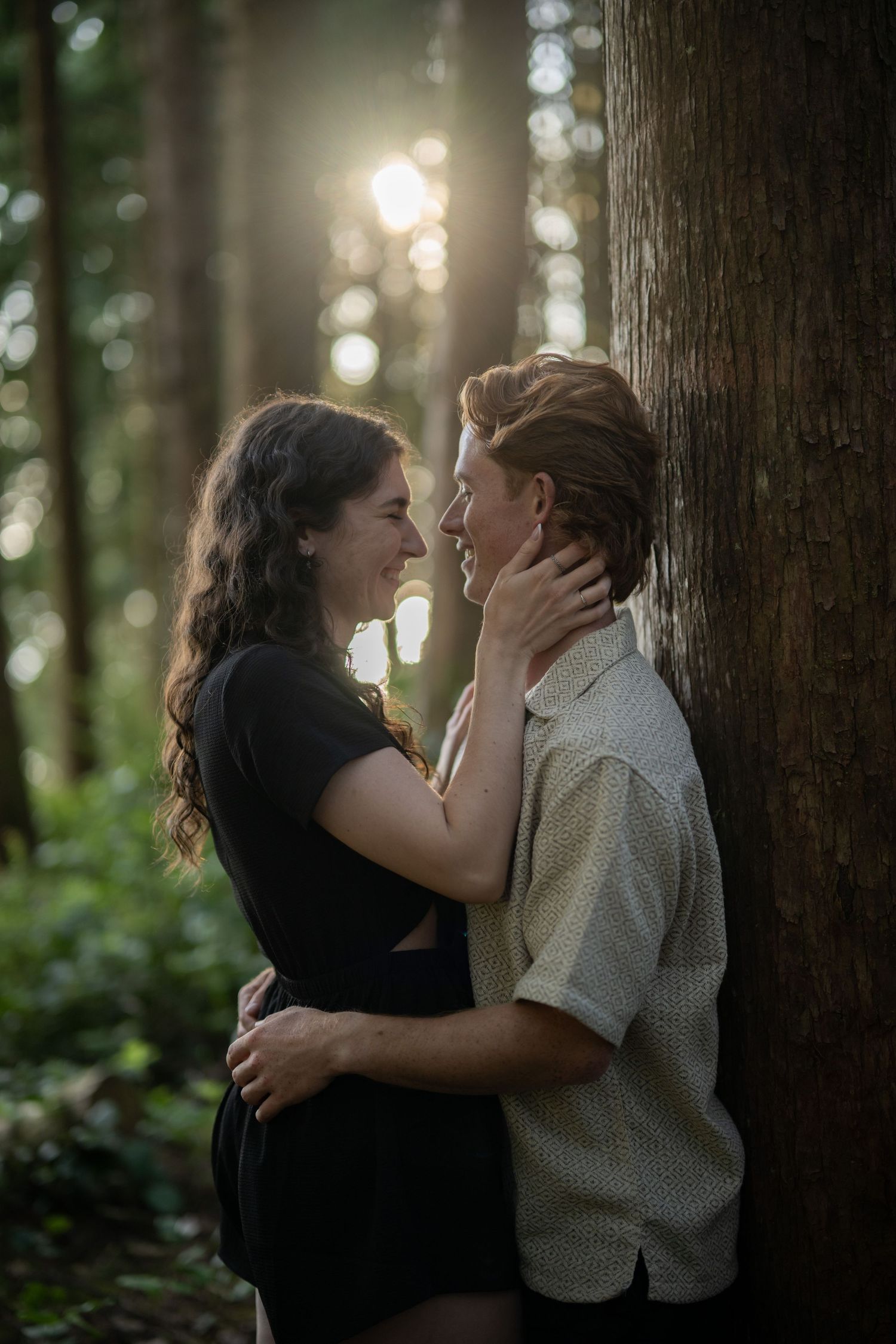 Romantic forest scene with sunlight filtering through tall trees.