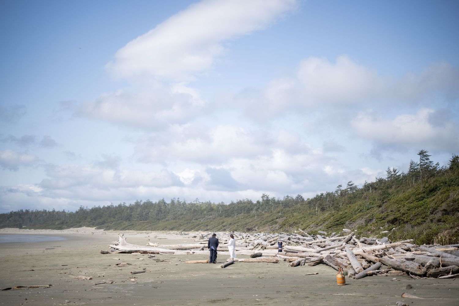 Scenic Pacific Northwest beach with driftwood and forested coastline on a cloudy day.