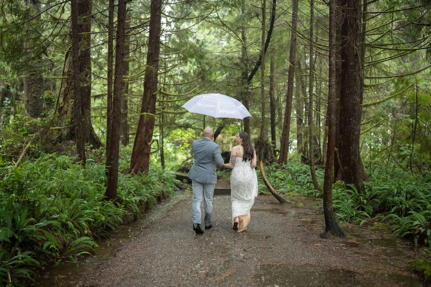 A couple walks down a forest path under a white umbrella surrounded by lush green ferns and tall trees.