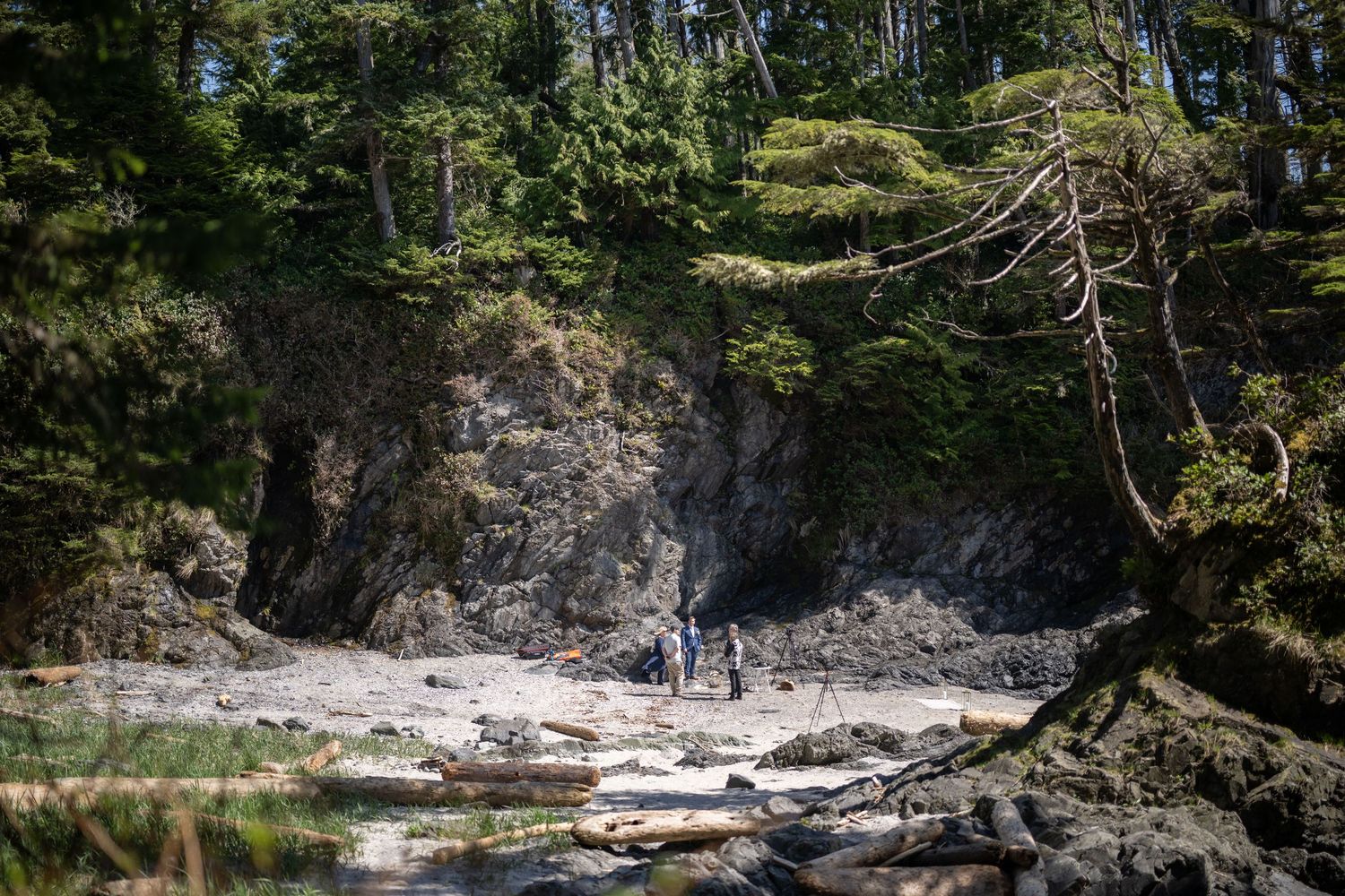 Scenic rocky coastline with cliffs and trees along the ocean shore.