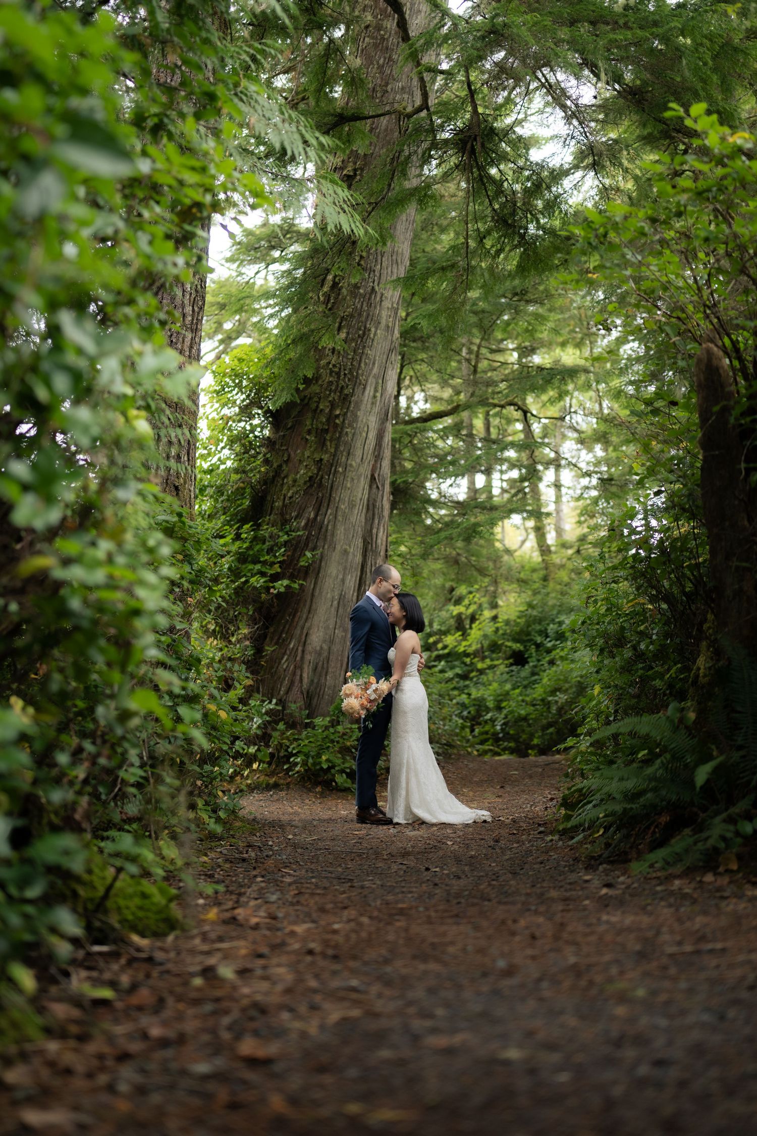 A wooded path through tall evergreen trees creates a romantic forest setting.