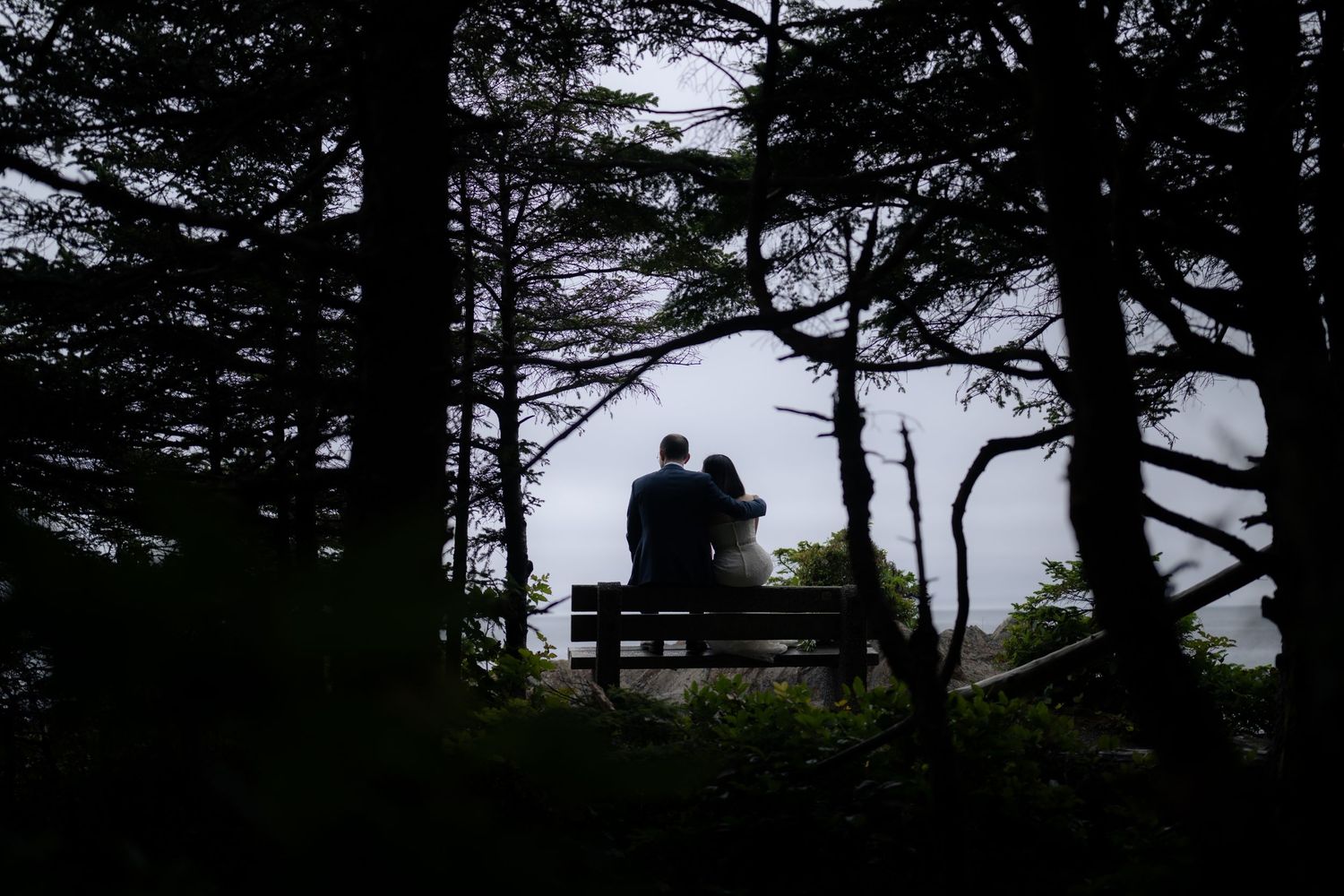 Silhouettes of evergreen trees against a cloudy sky create a dramatic coastal landscape.