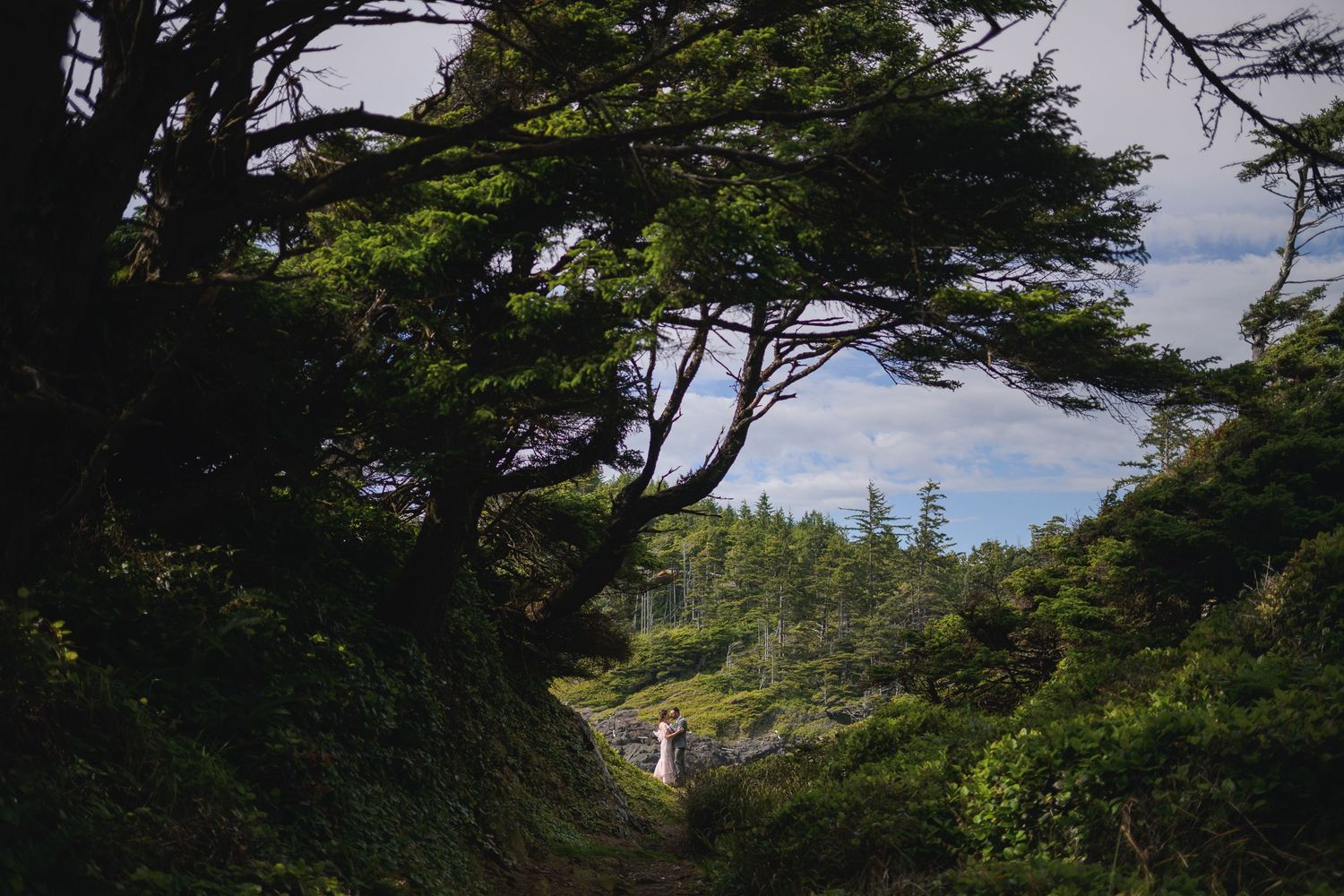 Evergreen trees line a rugged coastal shoreline under cloudy skies.