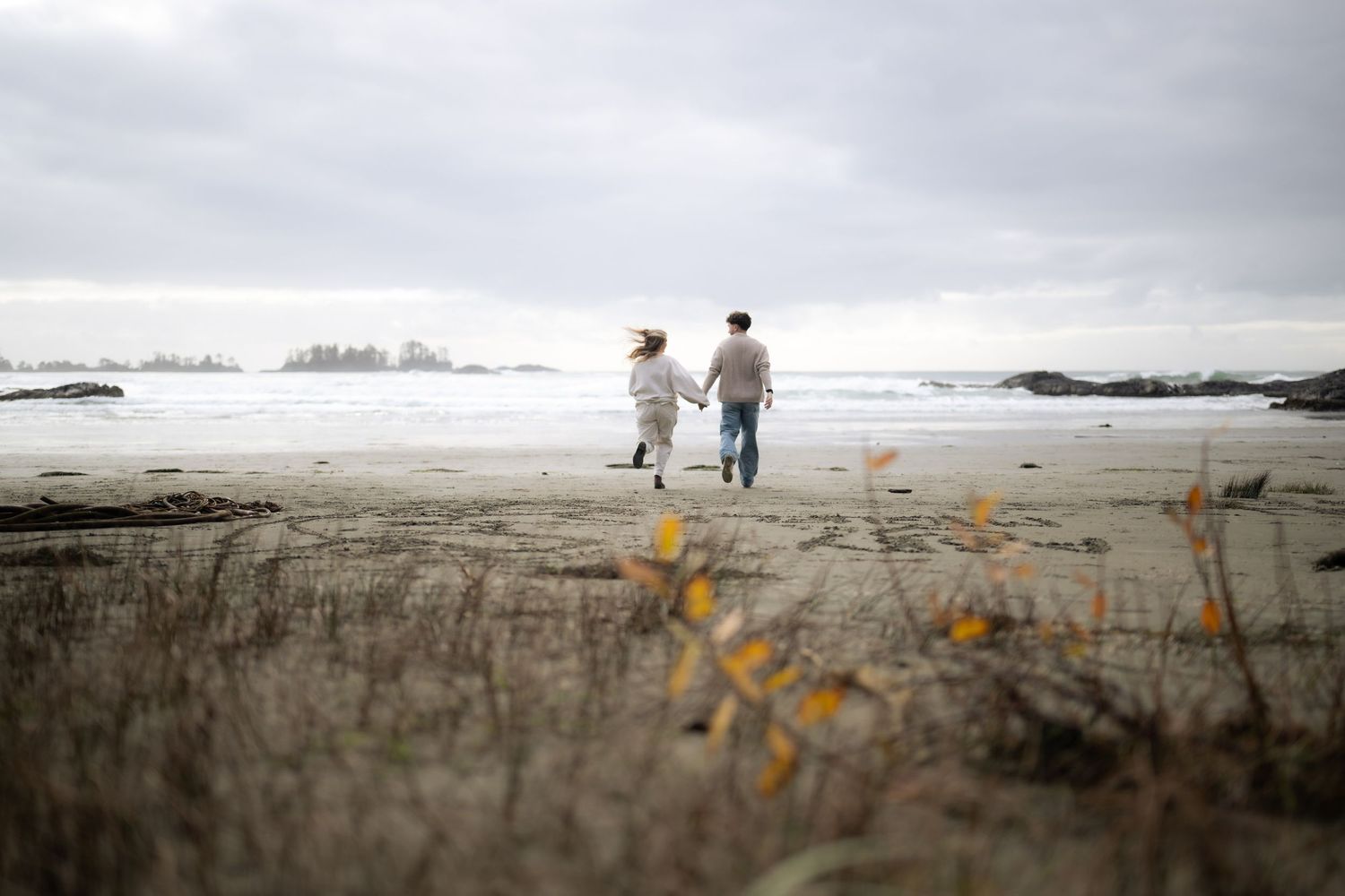 Distant figures walk along a foggy beach with orange wildflowers in the foreground.
