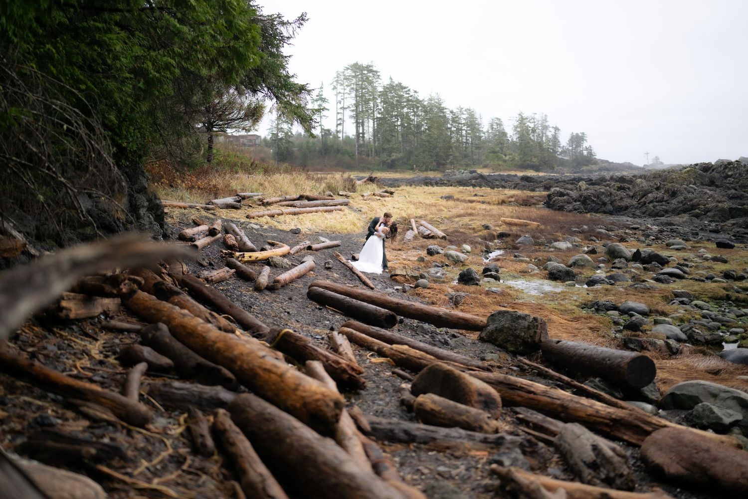 Driftwood scattered along a misty Pacific Northwest beach shoreline.