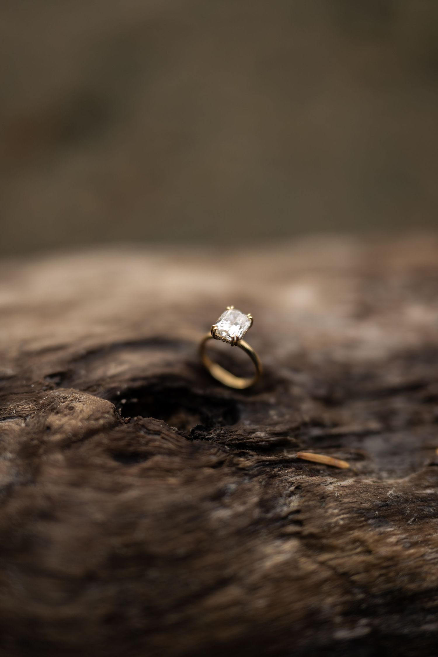 A sparkling diamond engagement ring sitting on textured driftwood in moody lighting.