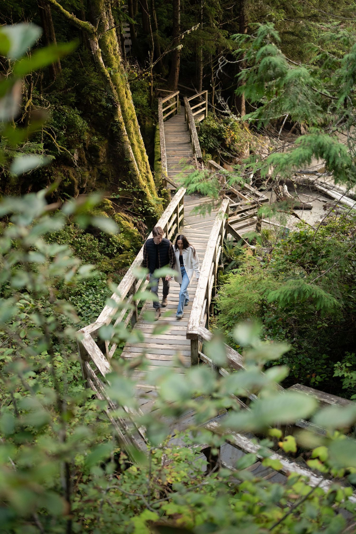 Wooden boardwalk winding through a misty forest with moss-covered trees and ferns.