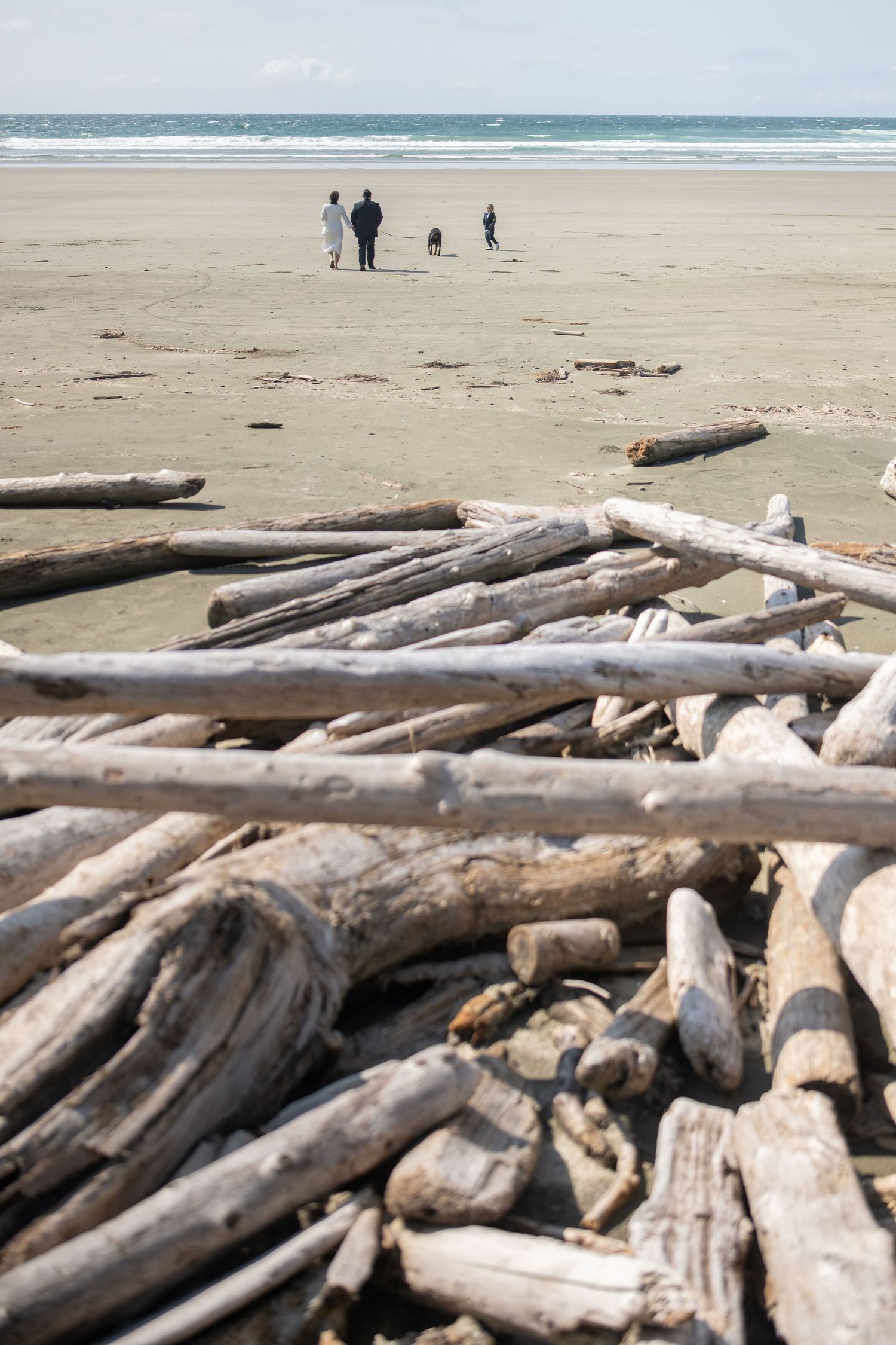 Close-up of bleached driftwood logs piled on sandy beach with ocean waves in background.