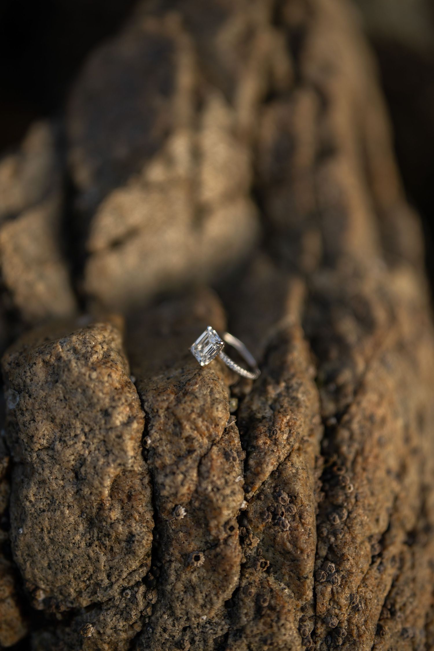 Close-up of textured rocks with a diamond ring nestled in the crevices.