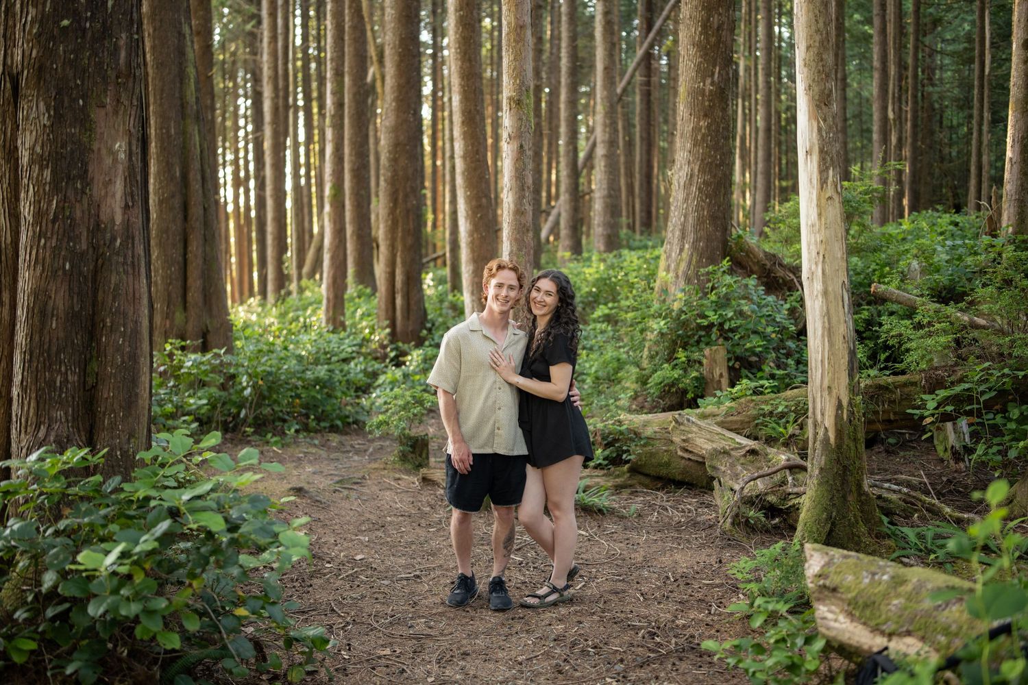 Forest path winding through tall evergreen trees with dappled sunlight.