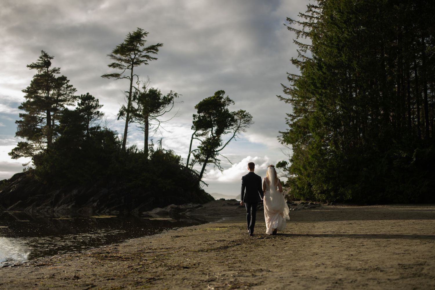 Silhouettes of figures walking along a rocky coastal path with tall pine trees.