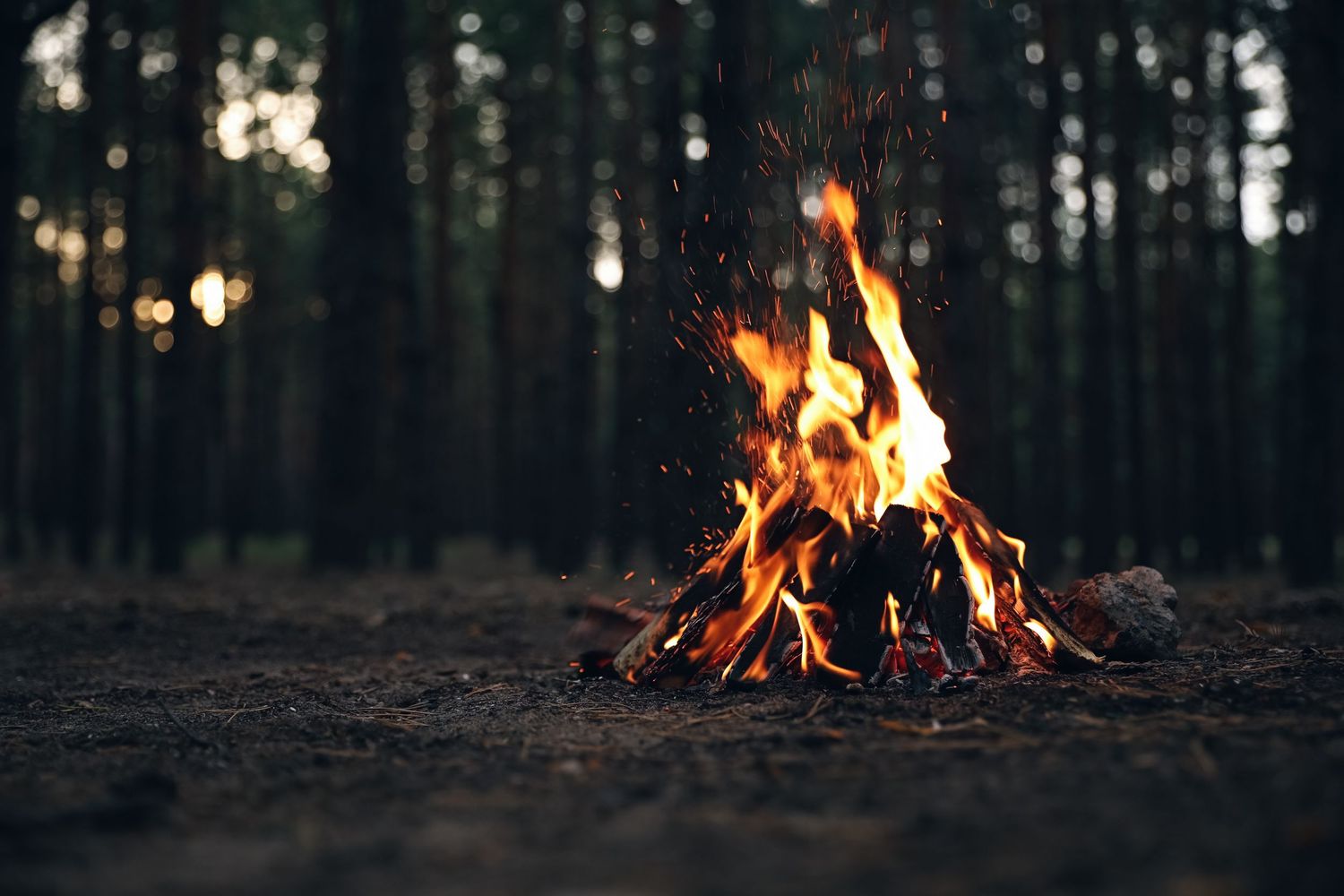 Campfire burns on the dirt ground of a dark pine forest at dusk, with bright orange flames rising and glowing lights in the background.