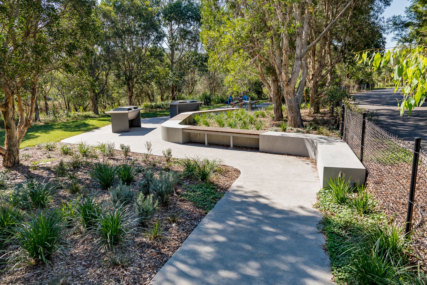 Curved concrete path winds past native plantings and a low seating wall toward barbecue facilities under gum trees in Sydney Park.