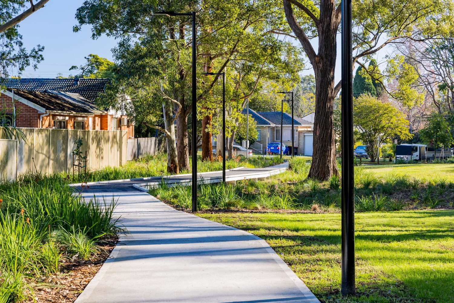 Curved concrete footpath winds through a landscaped public park with native grasses, mature eucalyptus trees and nearby suburban homes.