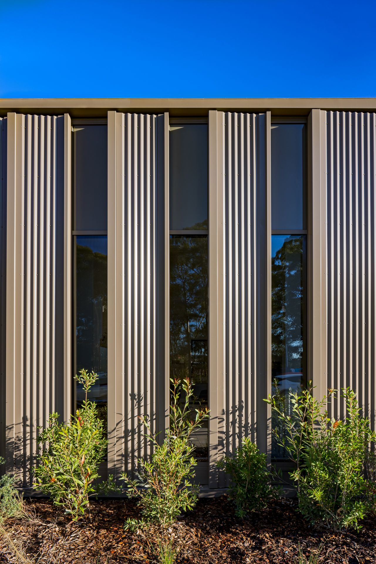 Close-up of a modern facade with vertical corrugated metal fins and tall glass panels reflecting trees, with native shrubs in front.