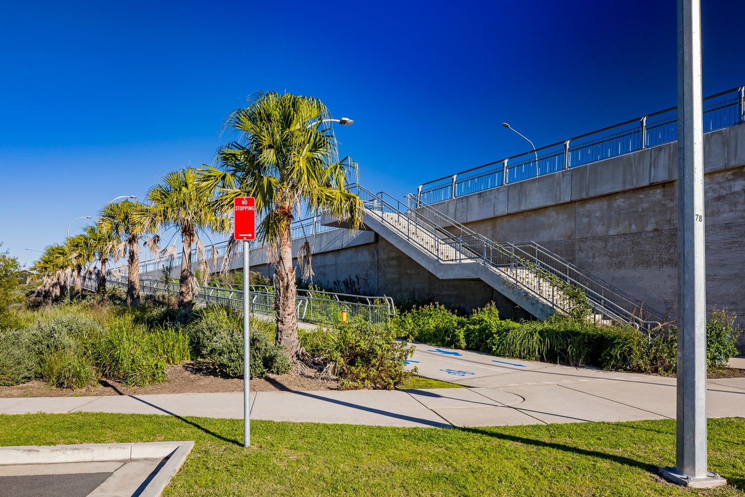 Palm trees and green shrubs beside a concrete pedestrian ramp and staircase under a clear blue sky.