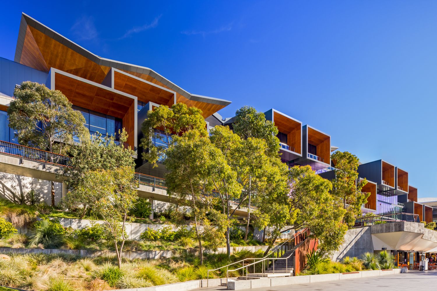 Contemporary terraced apartment buildings with timber-clad rooftops and balconies set among native trees under a clear blue sky.