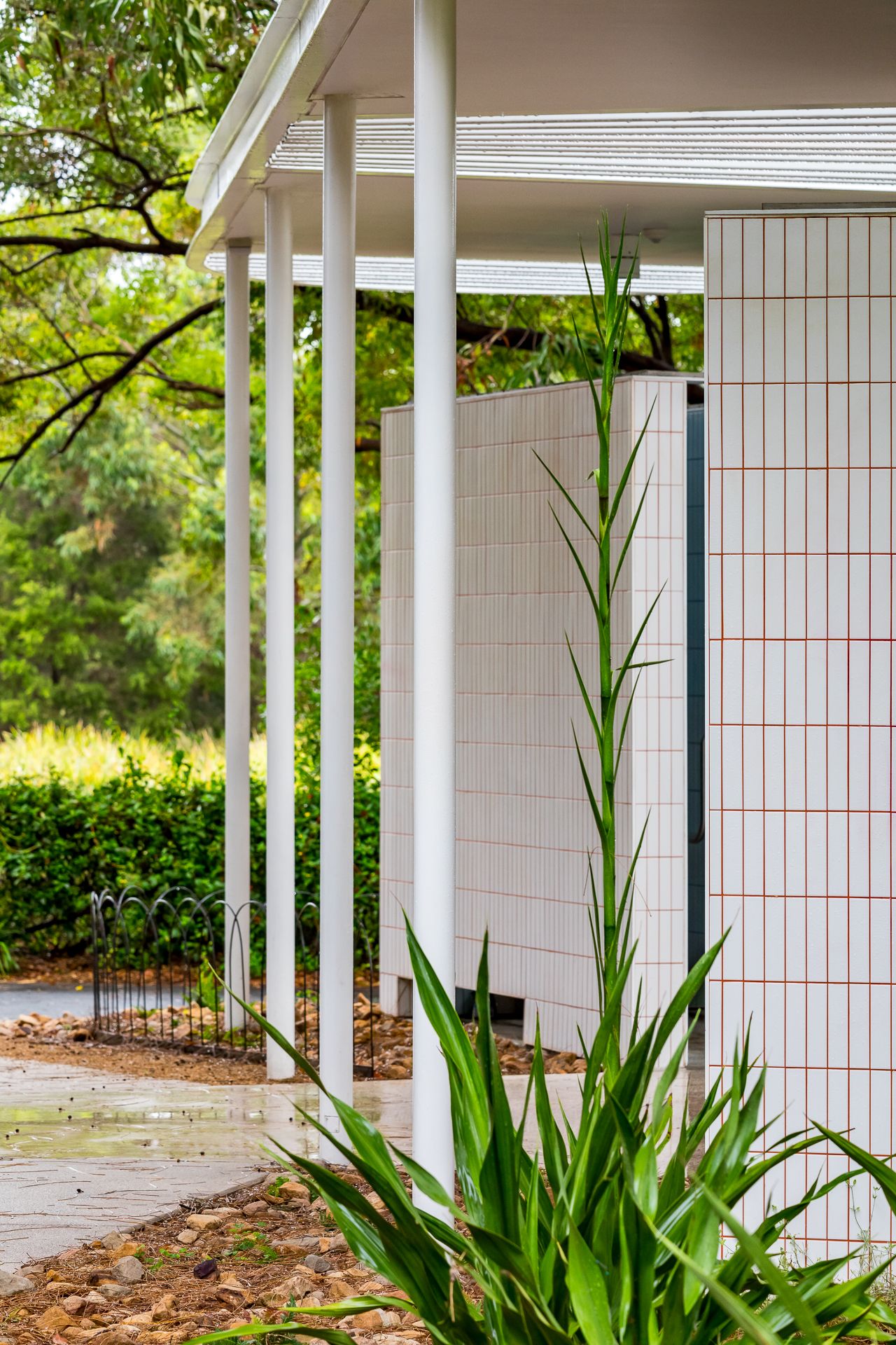 White tiled park amenities building with slender white columns, a flat roof and spiky green plants beside a paved path.