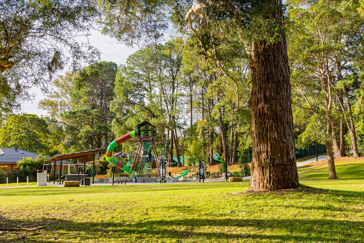 Sunlit park lawn with a large tree trunk in the foreground and a colorful playground with slide and shelter in the background.