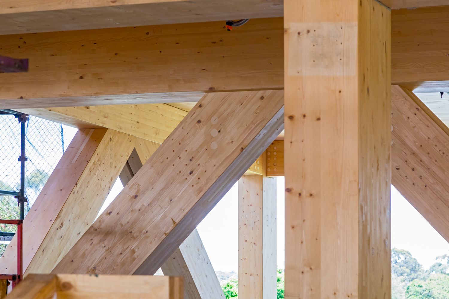 Close-up of engineered laminated timber columns and diagonal beams forming the structure of a modern mass timber building.