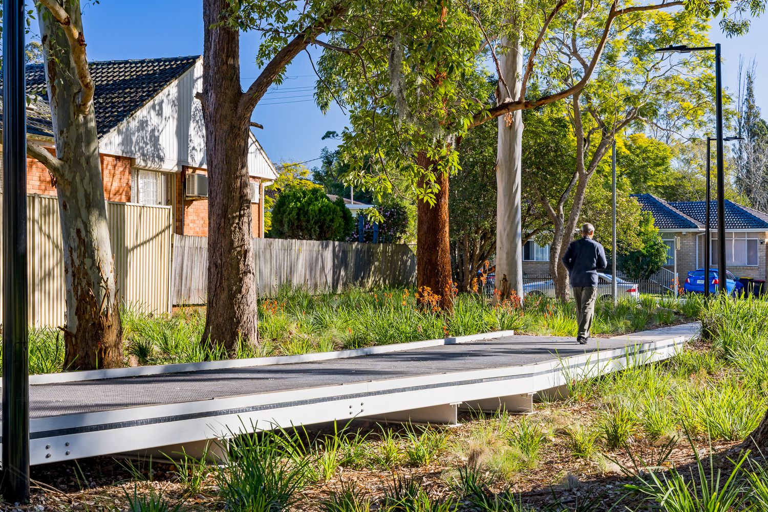 A pedestrian walks along a raised boardwalk path through native grasses and tall gum trees in a leafy suburban park.