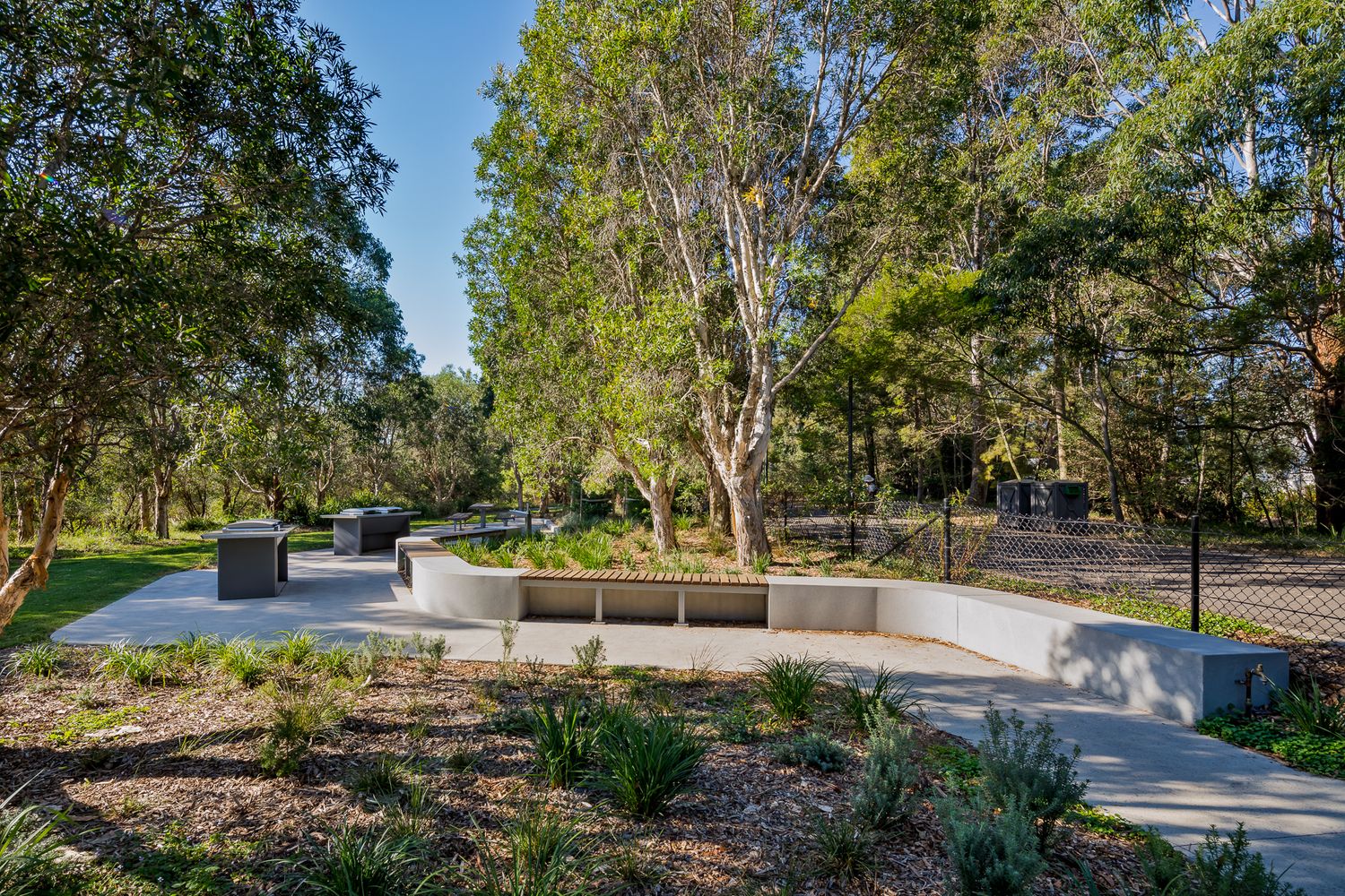 Curved seating wall and barbecue stations on a paved picnic area beside native garden beds and eucalyptus trees in Sydney Park.