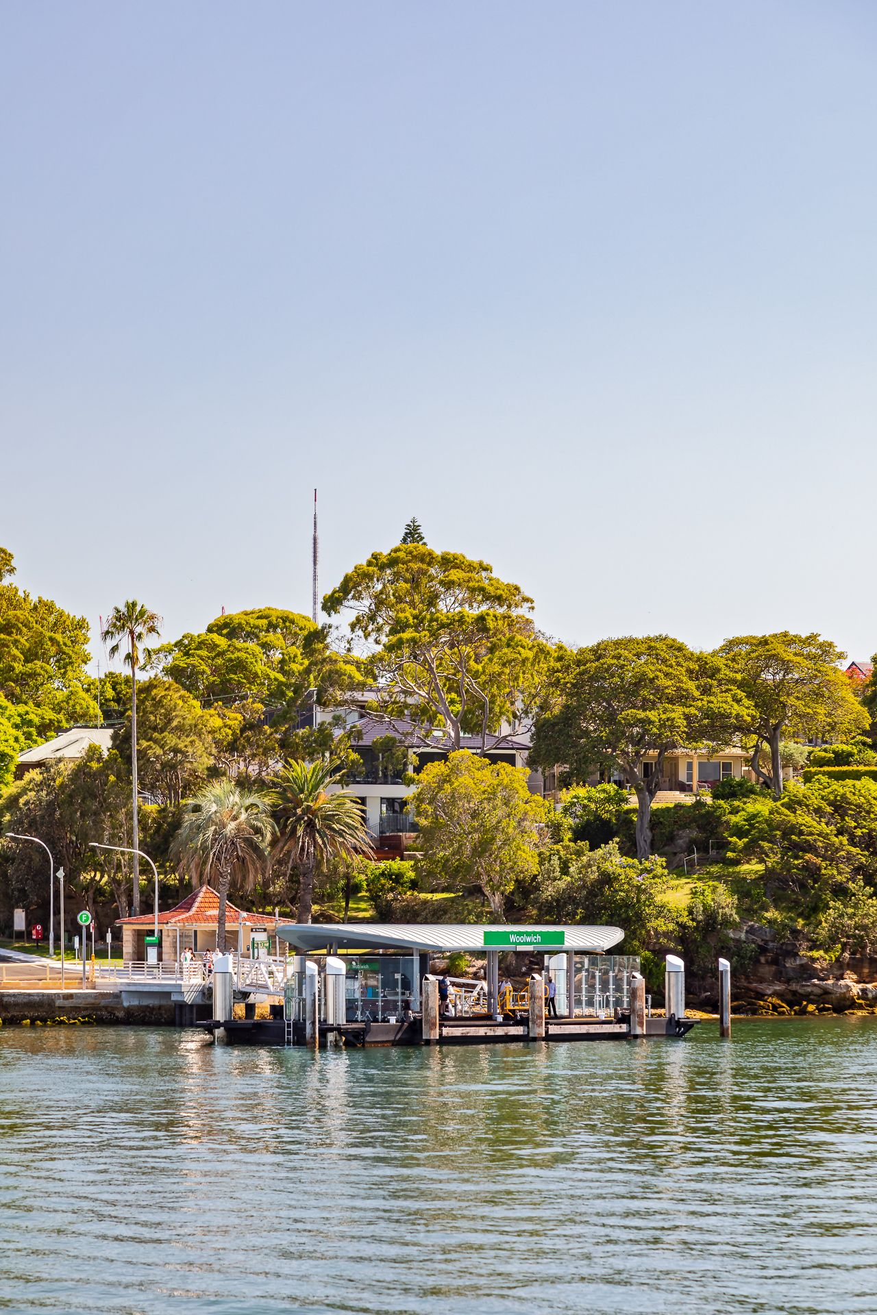 Ferry wharf with a green sign on a calm harbour, backed by lush trees and waterfront homes under a clear blue sky.