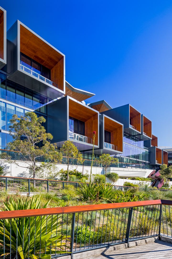 Contemporary apartment building with timber-clad balconies, glass walls and native garden under a bright blue sky.
