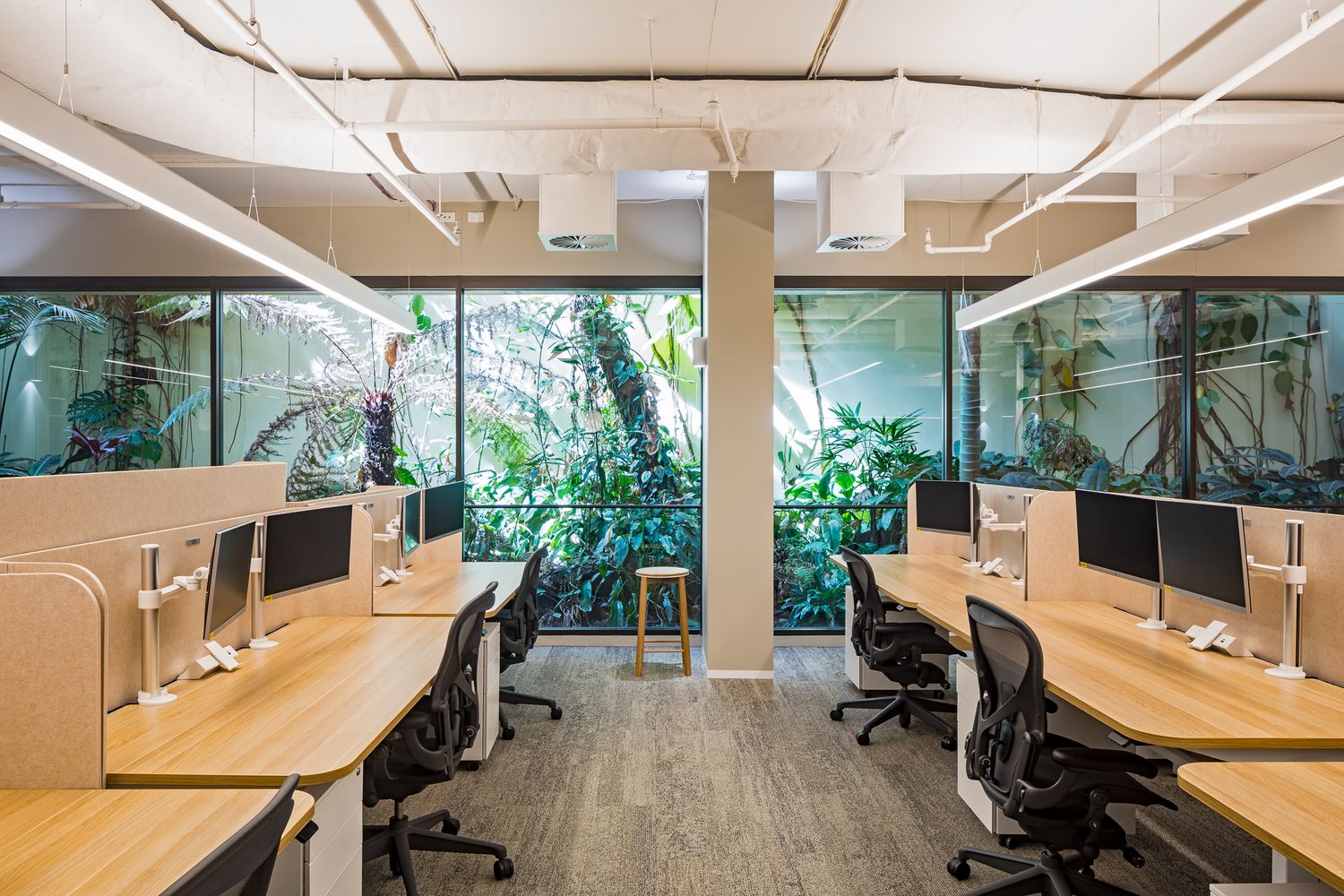 Modern open-plan office with wooden desks, monitors and black chairs beside floor-to-ceiling windows overlooking lush tropical plants.
