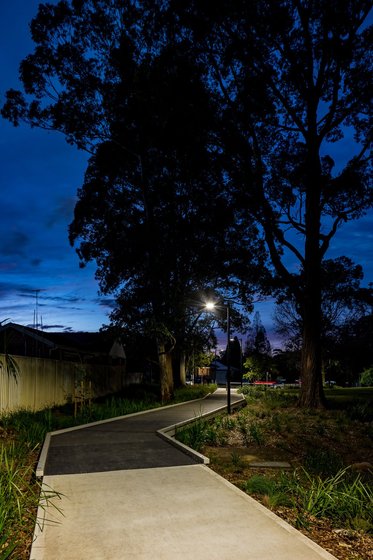 Illuminated concrete and asphalt pedestrian pathway lined with native grasses and tall eucalyptus trees under a deep blue twilight sky.