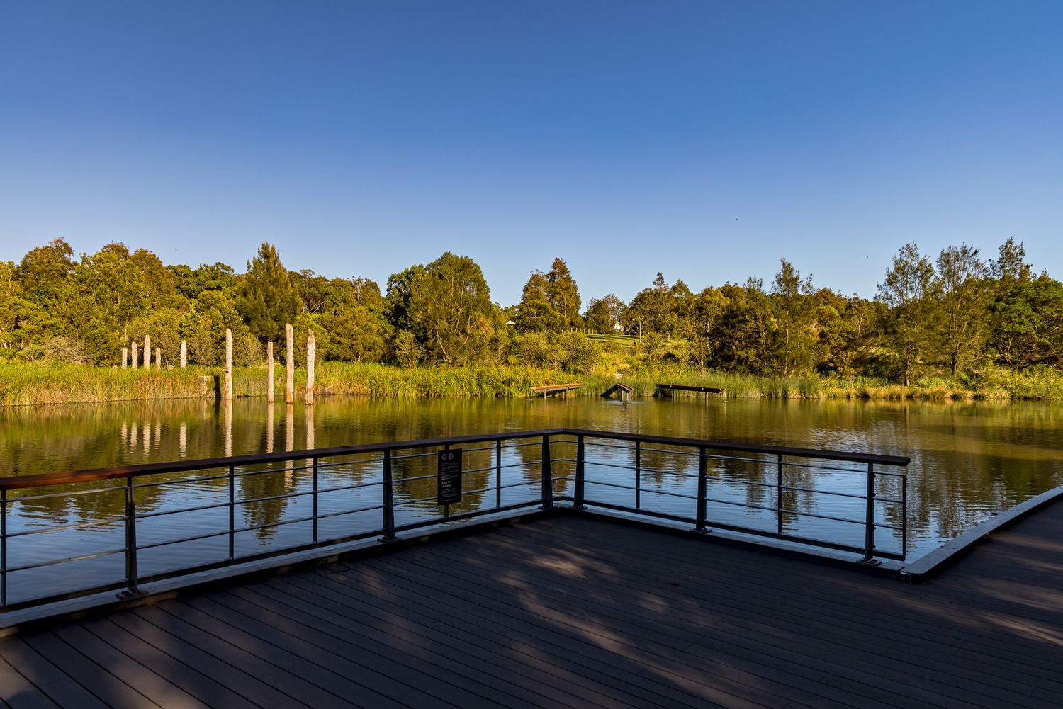 Wooden boardwalk deck with metal railing overlooking a calm lake surrounded by green trees under a clear blue sky.