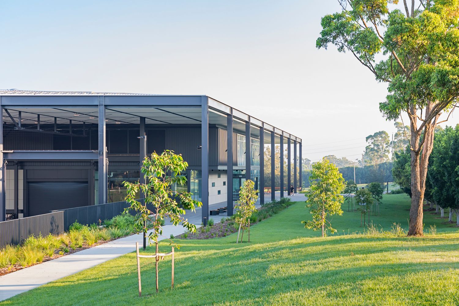 Dark steel-clad TAFE building with a concrete footpath, young saplings and a mature eucalyptus tree on a sunny lawn.