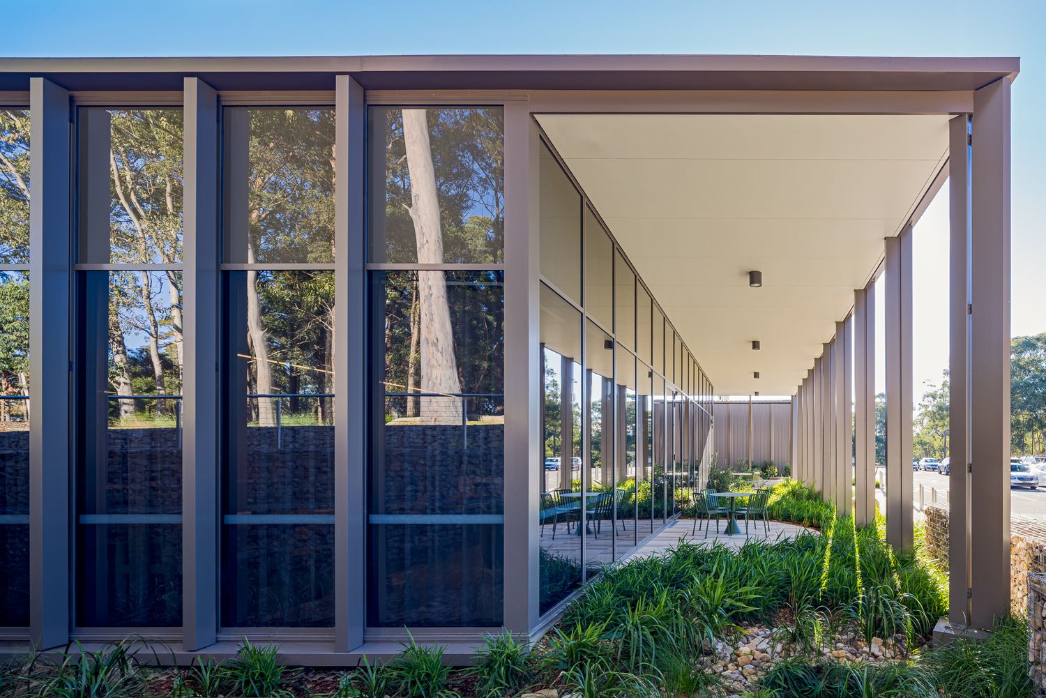 Exterior view of a modern building with tall glass windows, slender columns and a covered walkway beside dense landscaped greenery.