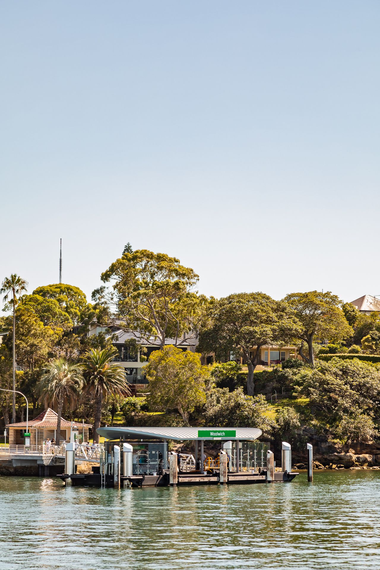 Sydney harbour ferry wharf with a green name sign, palm trees and waterfront houses on a hillside beneath a clear sky.