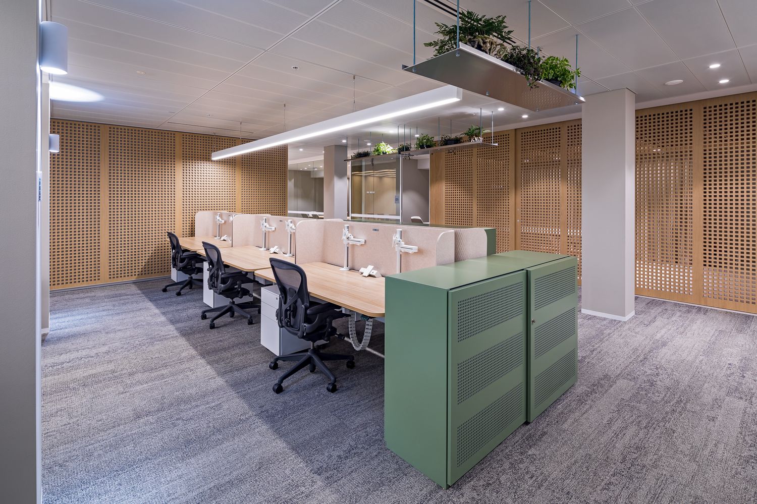 Contemporary workspace featuring shared desks, task chairs, wood-slatted walls and a green cabinet beneath a suspended plant shelf.