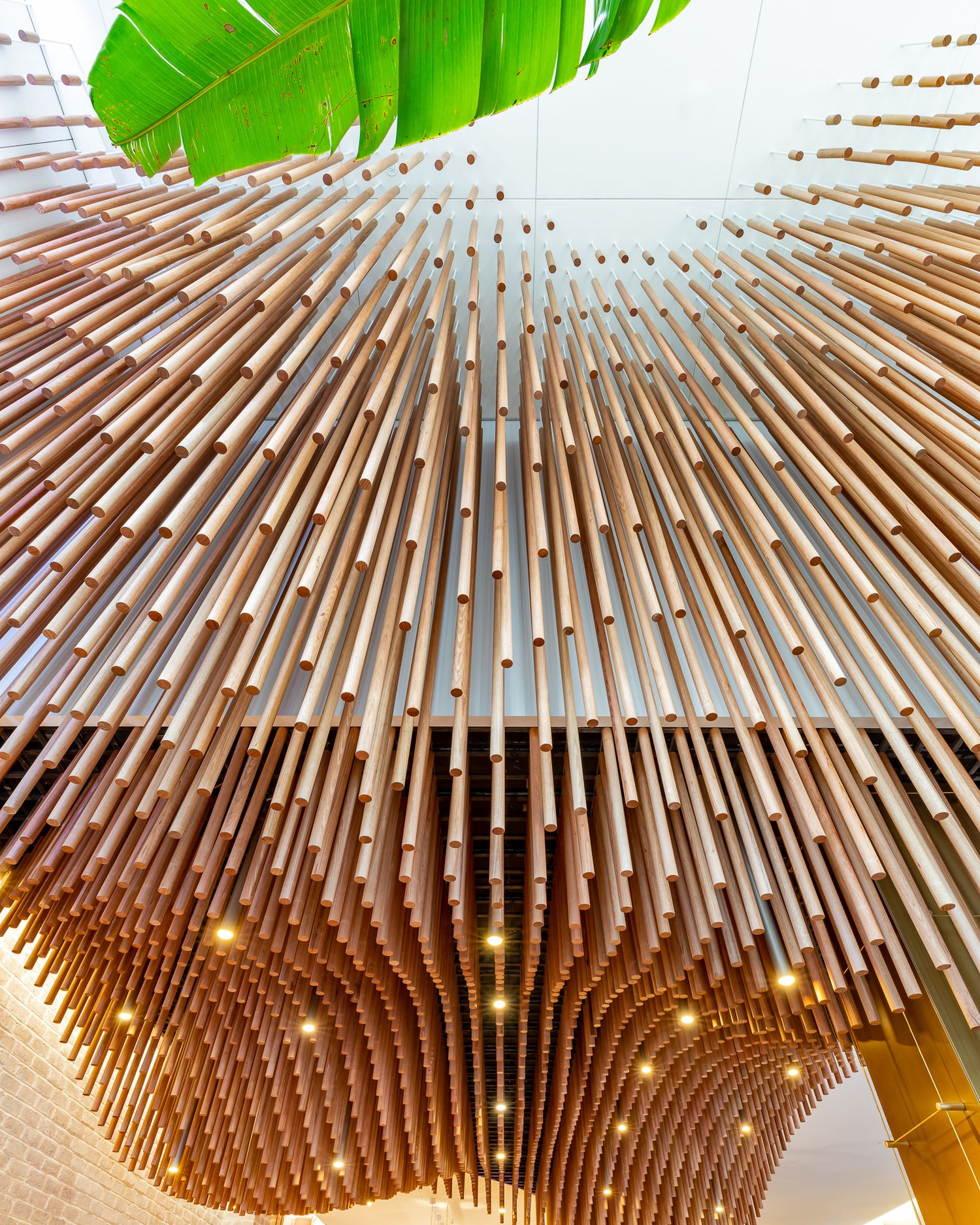 Looking up at a wave-like ceiling installation of hanging timber tubes with warm lights and a green banana leaf in the foreground.