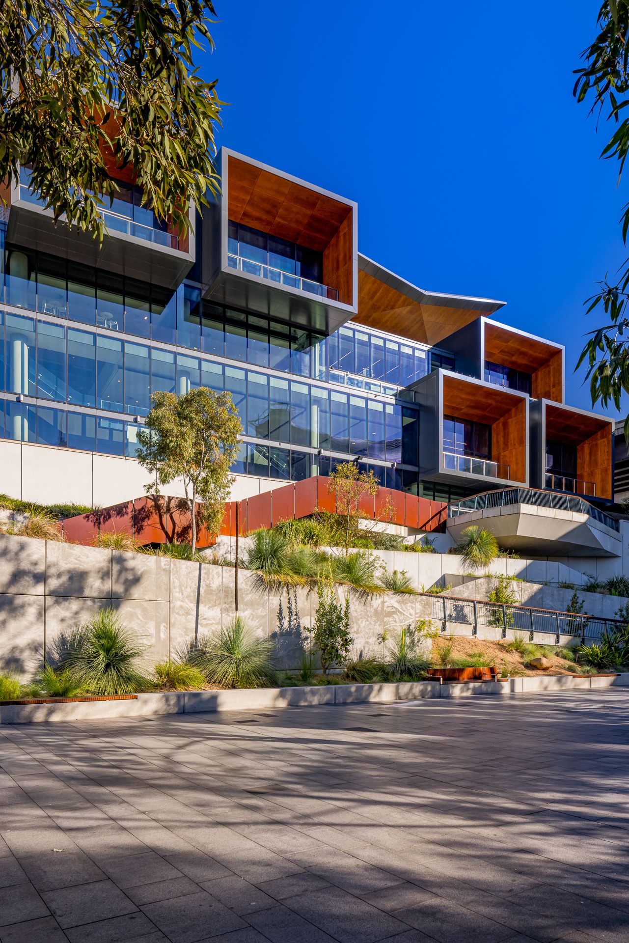 Modern multi-level building with timber-lined balconies and glass walls above a landscaped stone retaining wall and paved plaza.