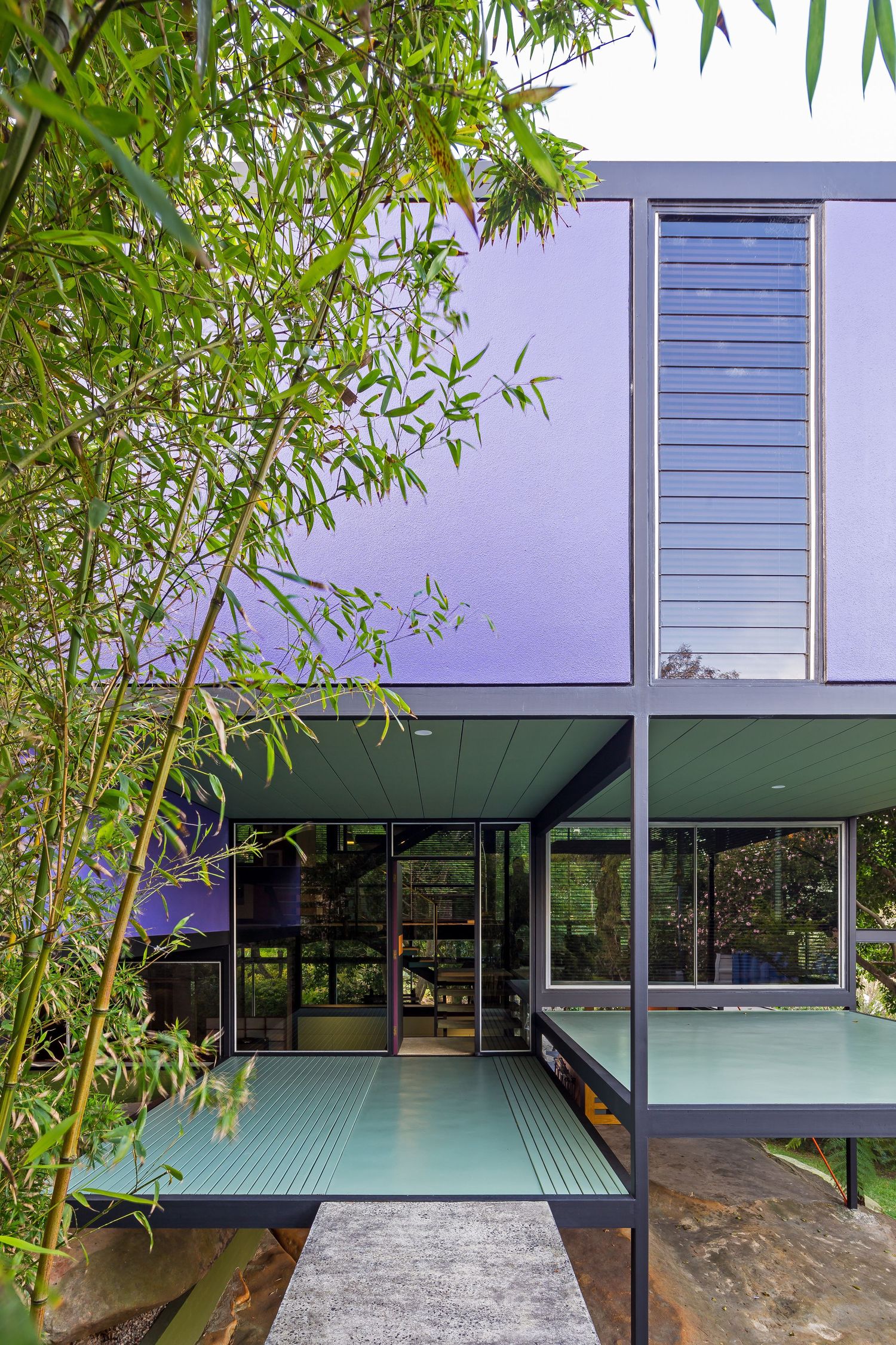 Elevated modernist house with a glass-green entry walkway, louvred window and purple walls framed by bamboo leaves.
