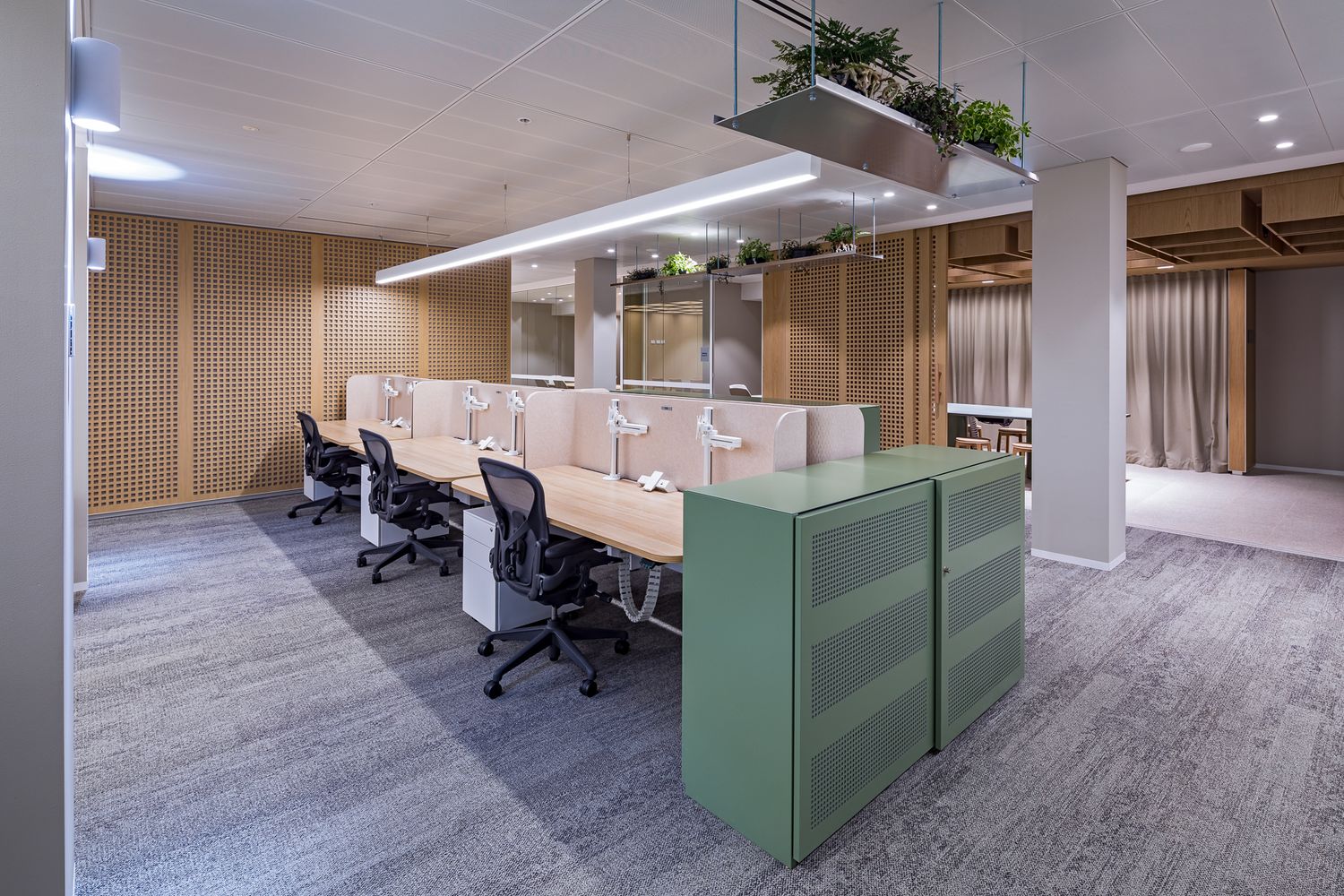 Open-plan office with a row of workstations, black ergonomic chairs, timber wall panels, a green storage cabinet and hanging planters.