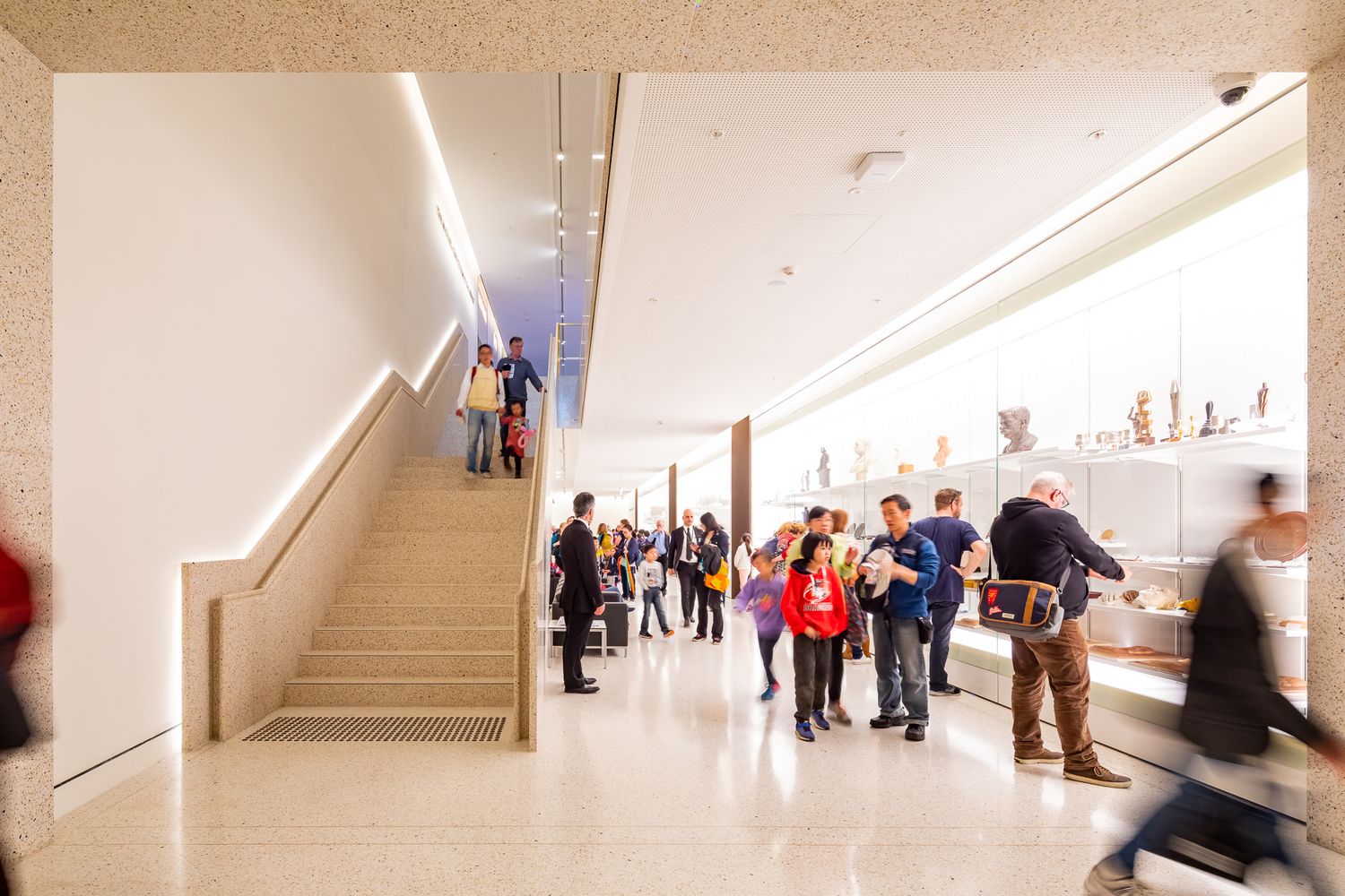 Visitors browse display cases and walk along a wide staircase in a bright, modern museum gallery with warm lighting.