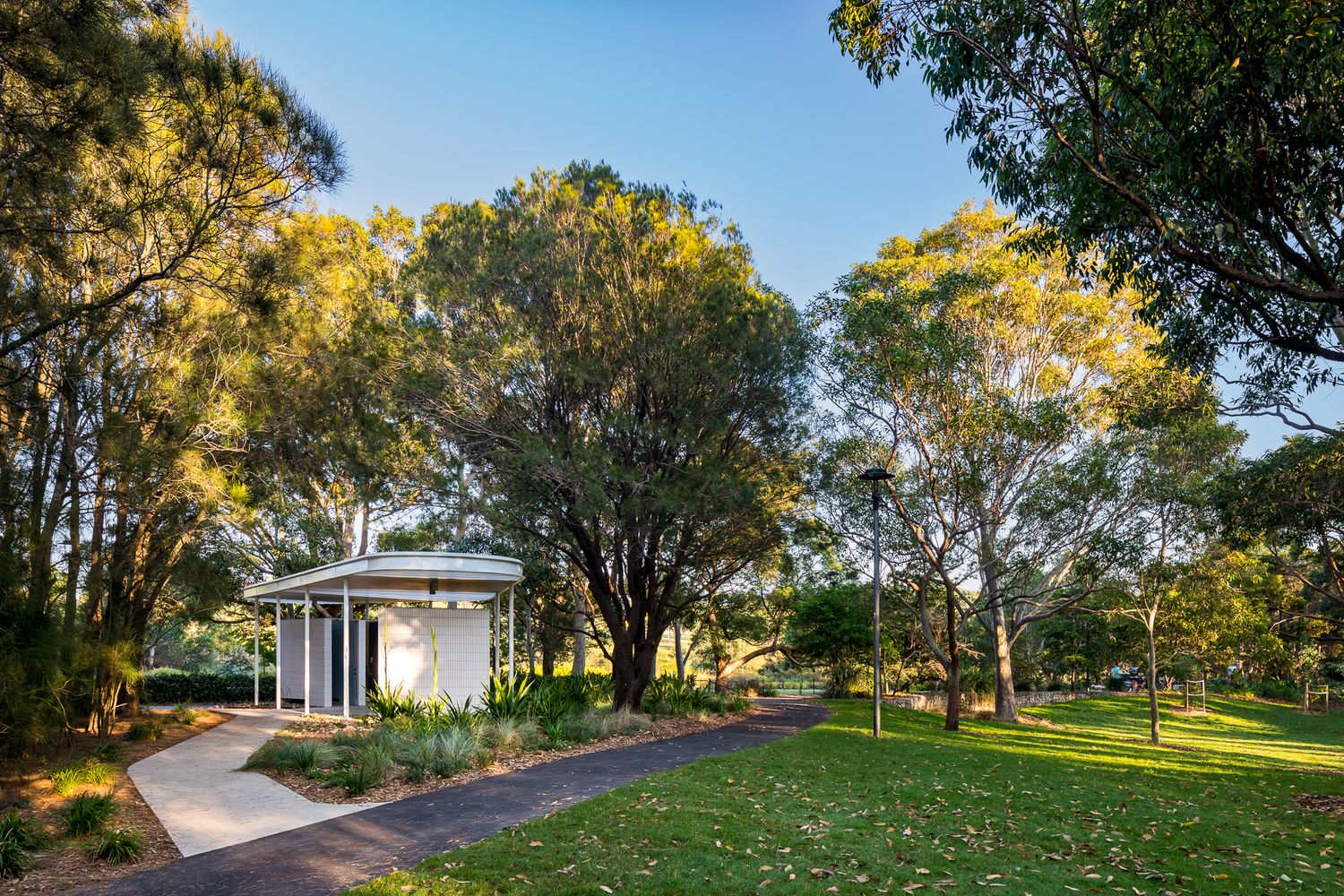Small modern park pavilion with a white curved roof nestled among eucalyptus trees beside a winding path and green lawn at sunset.