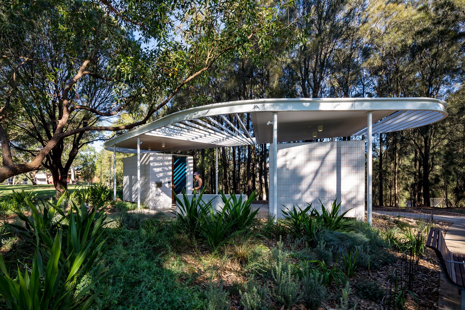 Curved-roof park amenities pavilion with white brick walls, set among native grasses and eucalyptus trees.