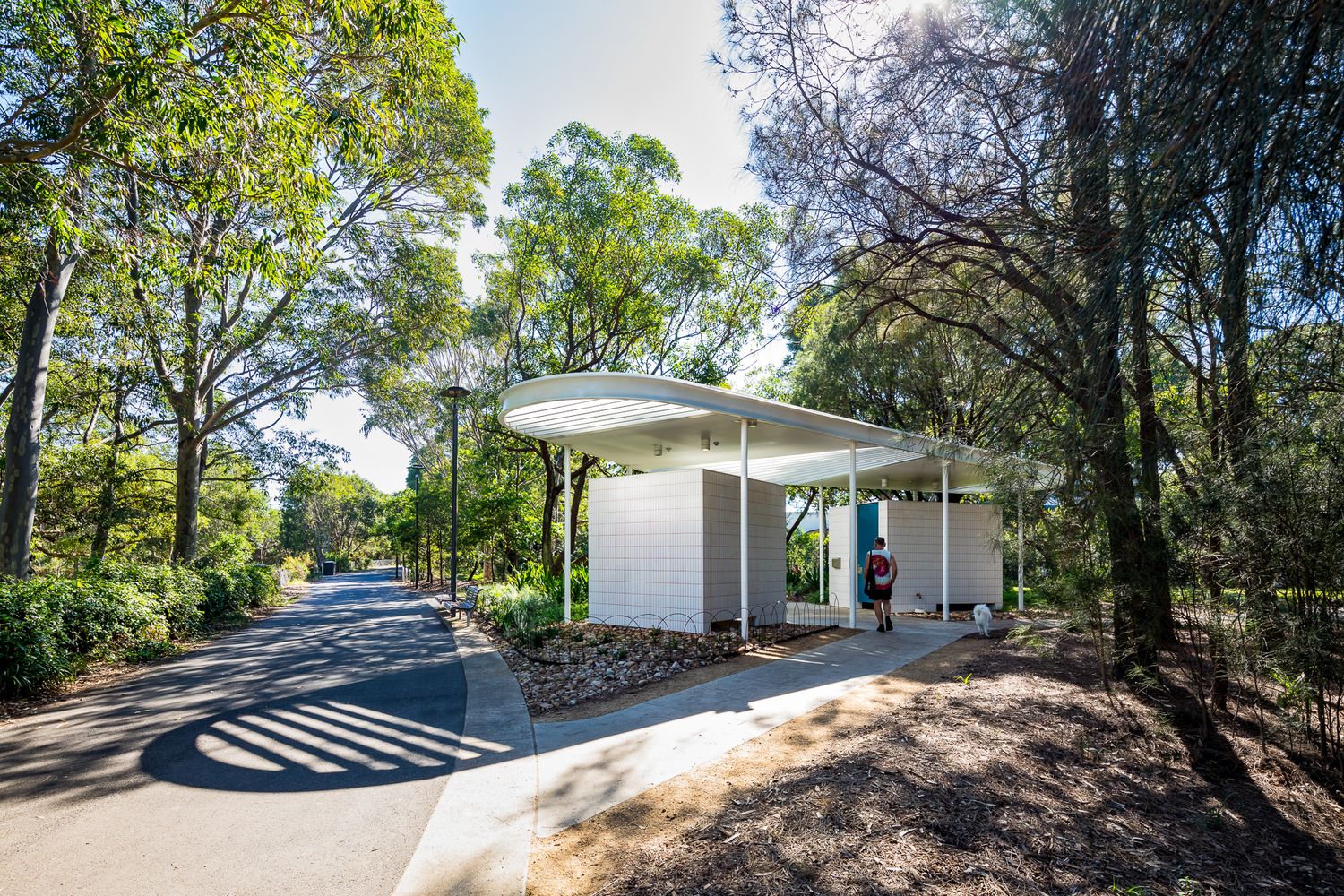 Contemporary white park pavilion with a curved roof seen from a sunlit path, framed by trees casting dappled shadows.