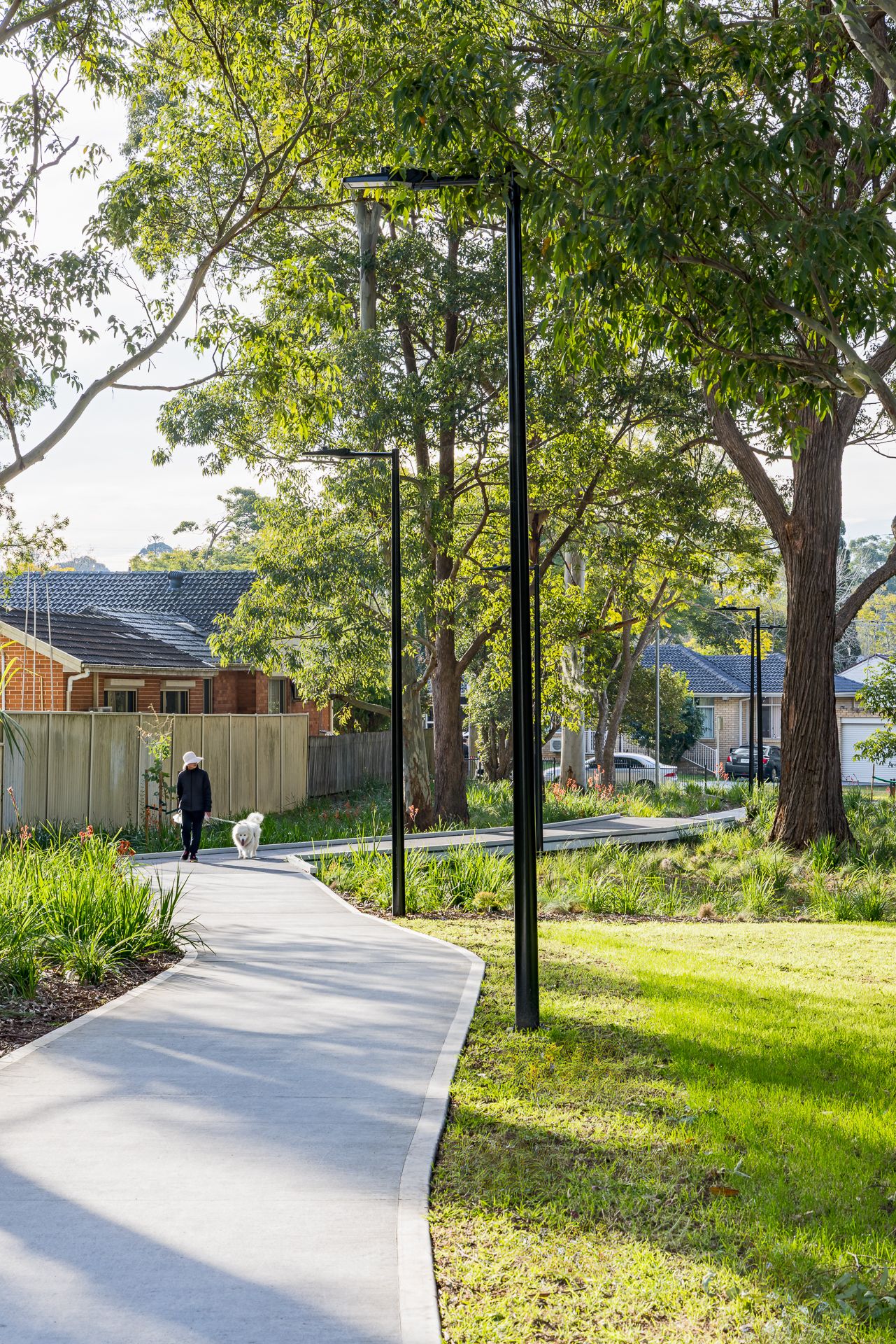 Person walking a small white dog along a curved concrete park path lined with black light poles, native plants and tall trees.