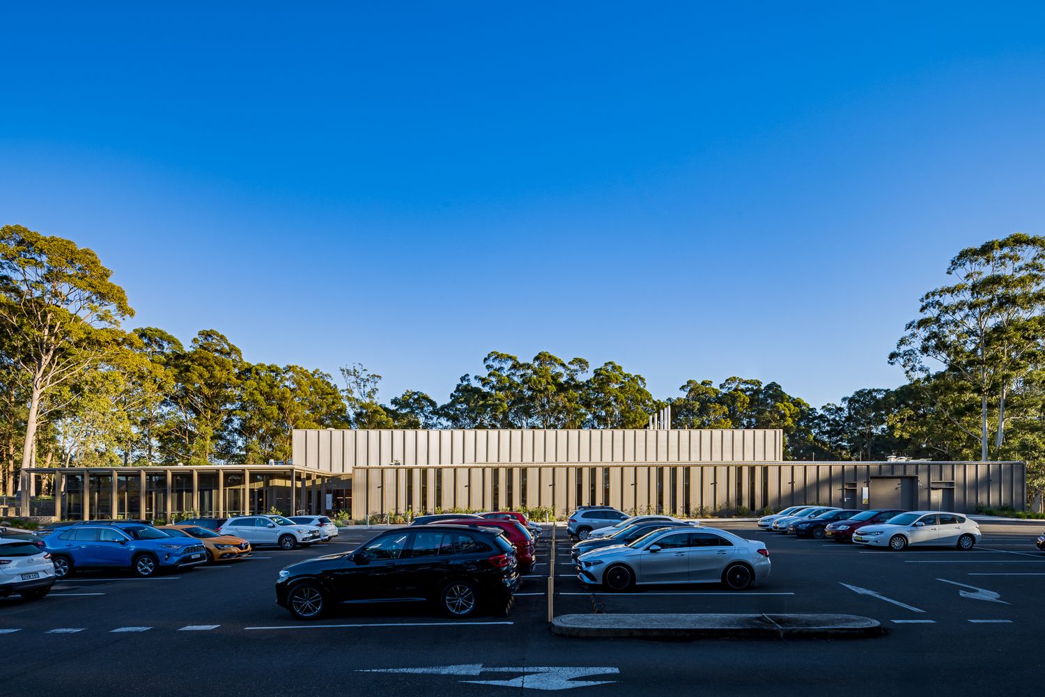 Modern building with timber and glass facade behind a car park, framed by tall eucalyptus trees under a clear deep blue sky.