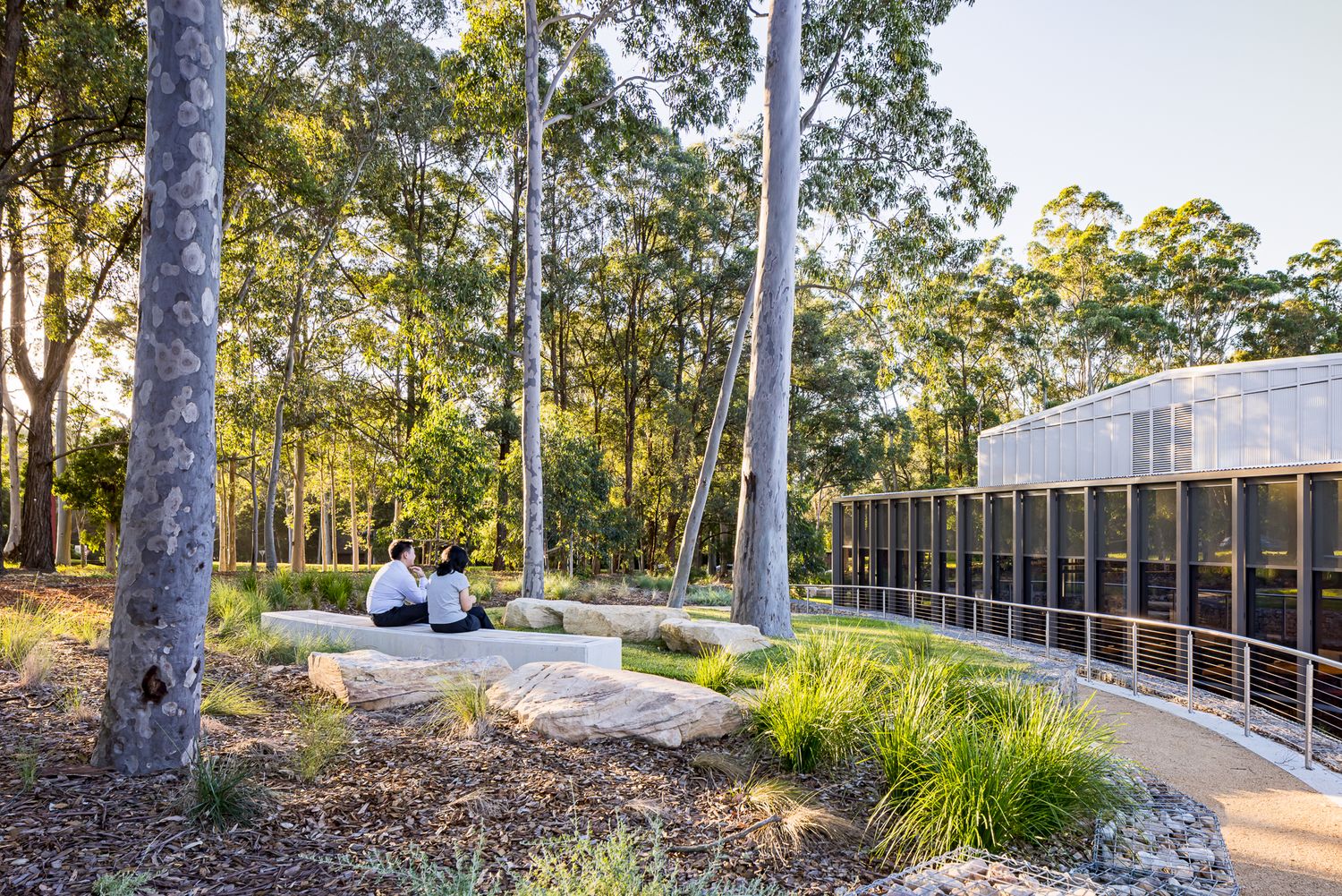 Two visitors sit on a concrete bench among tall eucalyptus trunks and native grasses beside a curved path and a modern glazed building.
