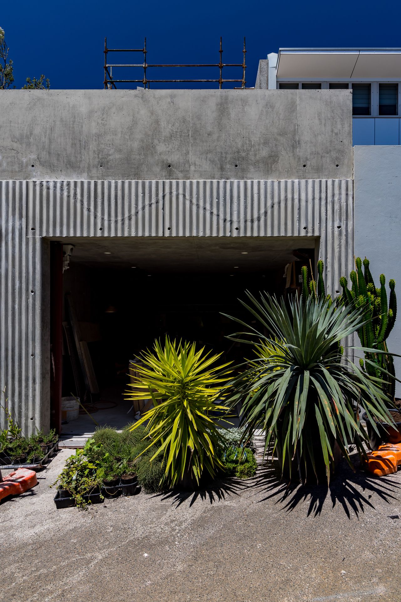 Concrete building with corrugated texture and open entry, with spiky yucca and cactus plants in the foreground.