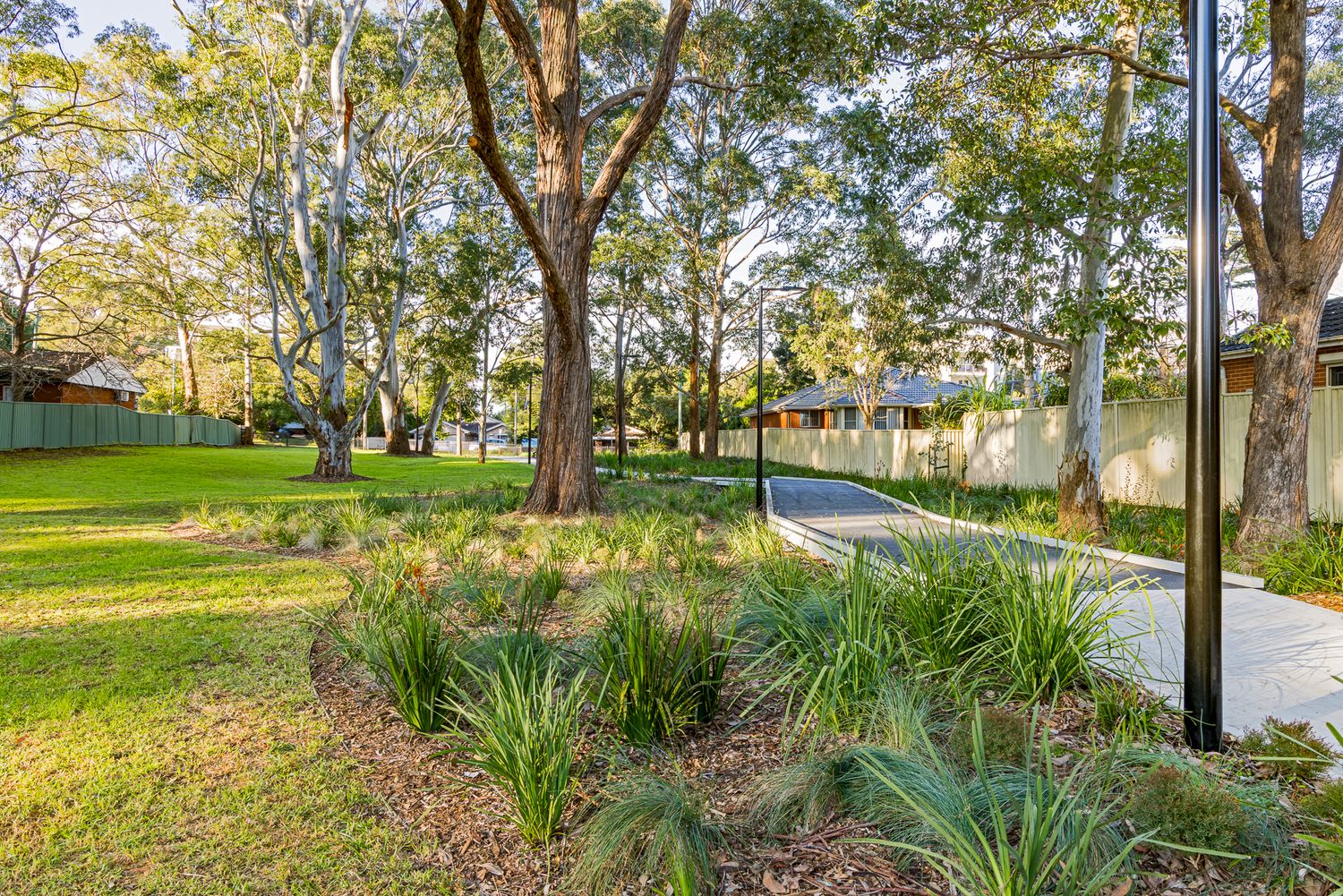 Concrete park path winds past native grasses, mulched garden beds and tall eucalyptus trees beside a green lawn and timber fence.